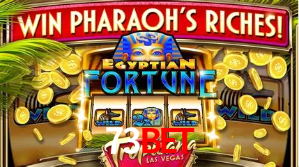 73bet Rio de Janeiro - Bonus Terms